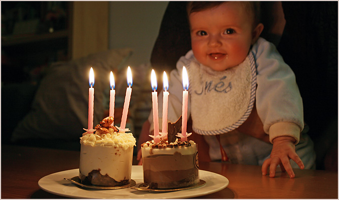 6 meses